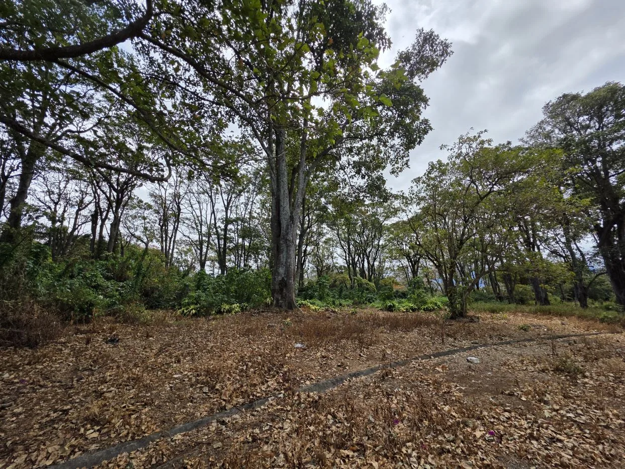 Lot for Sale in Private Development in San Rafael, Heredia - 75,347 ft² (1.73 acres) | Tranquility, Nature and Convenience, photo 4