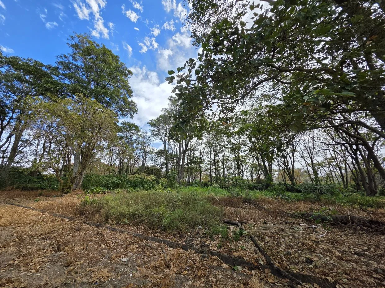 Lot for Sale in Private Development in San Rafael, Heredia - 75,347 ft² (1.73 acres) | Tranquility, Nature and Convenience, photo 6