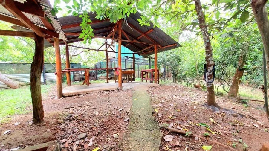 Venta de Propiedad rodeada de naturaleza en Turrubares. - Venta en Turrubares, photo 13
