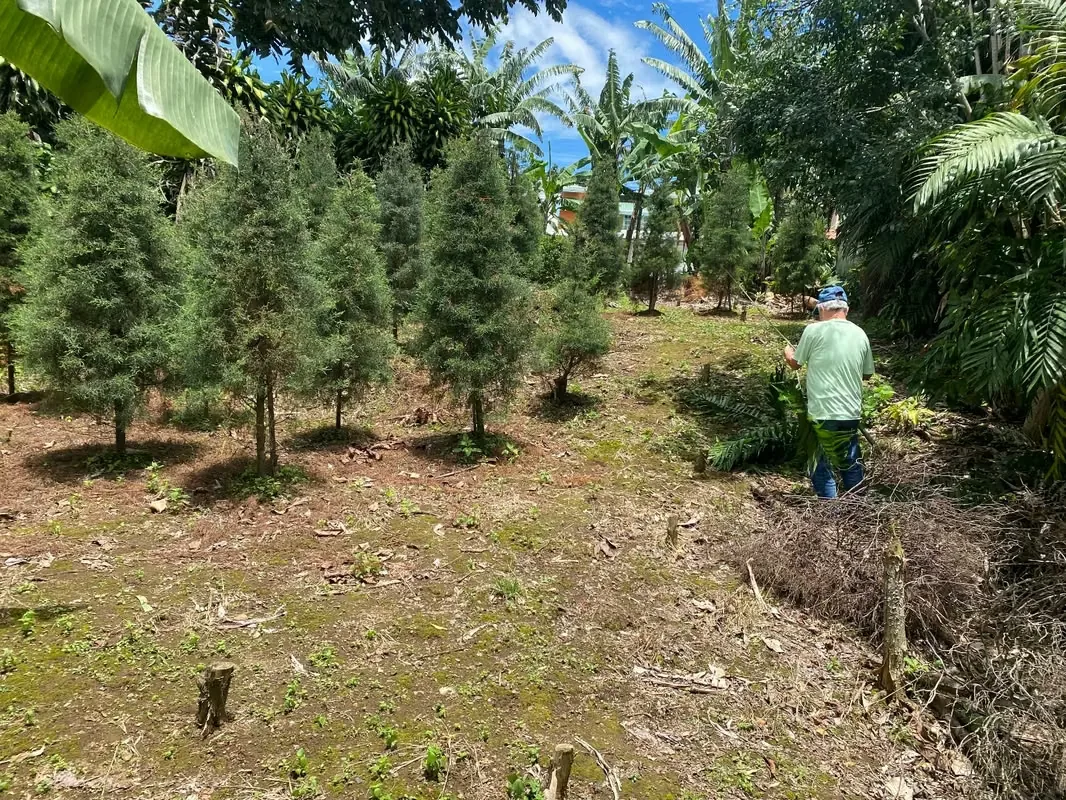 Lindo lote en residencial Monserrat Área 385 metros cuadrados. -10 metros de Frente. -Totalmente plano. -Dos Frentes: uno a calle pública, otro a zona verde pública. -Listo para ..., photo 2