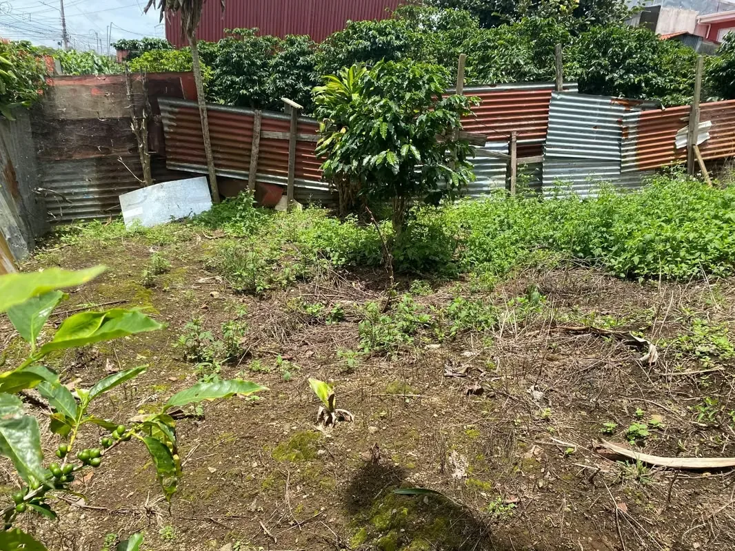 Lindo lote en residencial Monserrat Área 385 metros cuadrados. -10 metros de Frente. -Totalmente plano. -Dos Frentes: uno a calle pública, otro a zona verde pública. -Listo para ..., photo 12