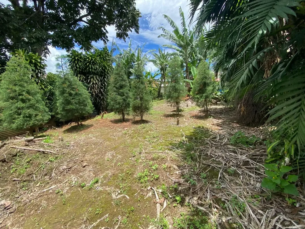 Lindo lote en residencial Monserrat Área 385 metros cuadrados. -10 metros de Frente. -Totalmente plano. -Dos Frentes: uno a calle pública, otro a zona verde pública. -Listo para ..., photo 4