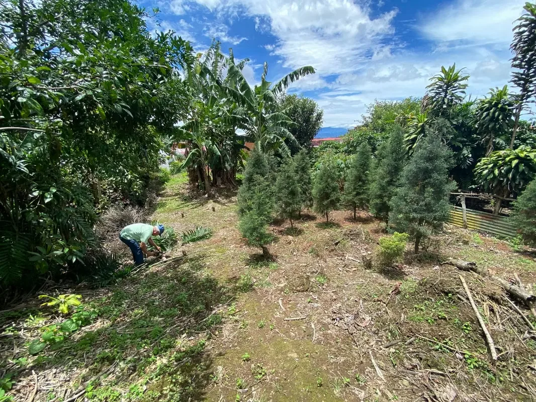 Lindo lote en residencial Monserrat Área 385 metros cuadrados. -10 metros de Frente. -Totalmente plano. -Dos Frentes: uno a calle pública, otro a zona verde pública. -Listo para ..., photo 6