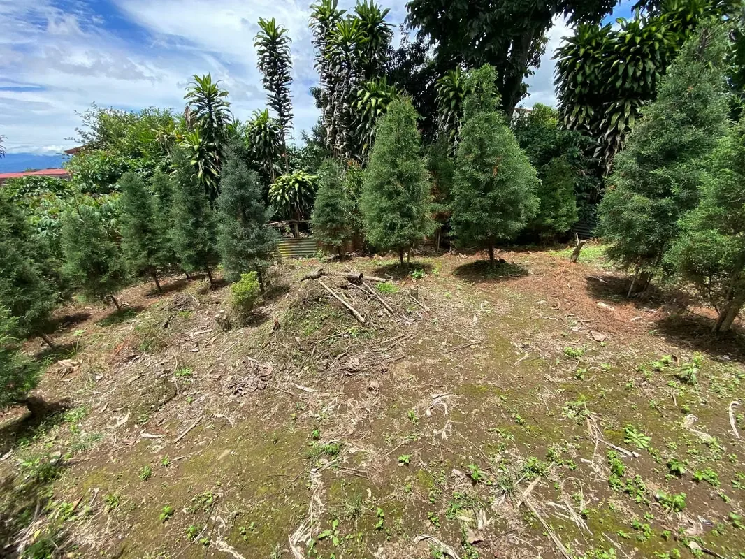 Lindo lote en residencial Monserrat Área 385 metros cuadrados. -10 metros de Frente. -Totalmente plano. -Dos Frentes: uno a calle pública, otro a zona verde pública. -Listo para ..., photo 7