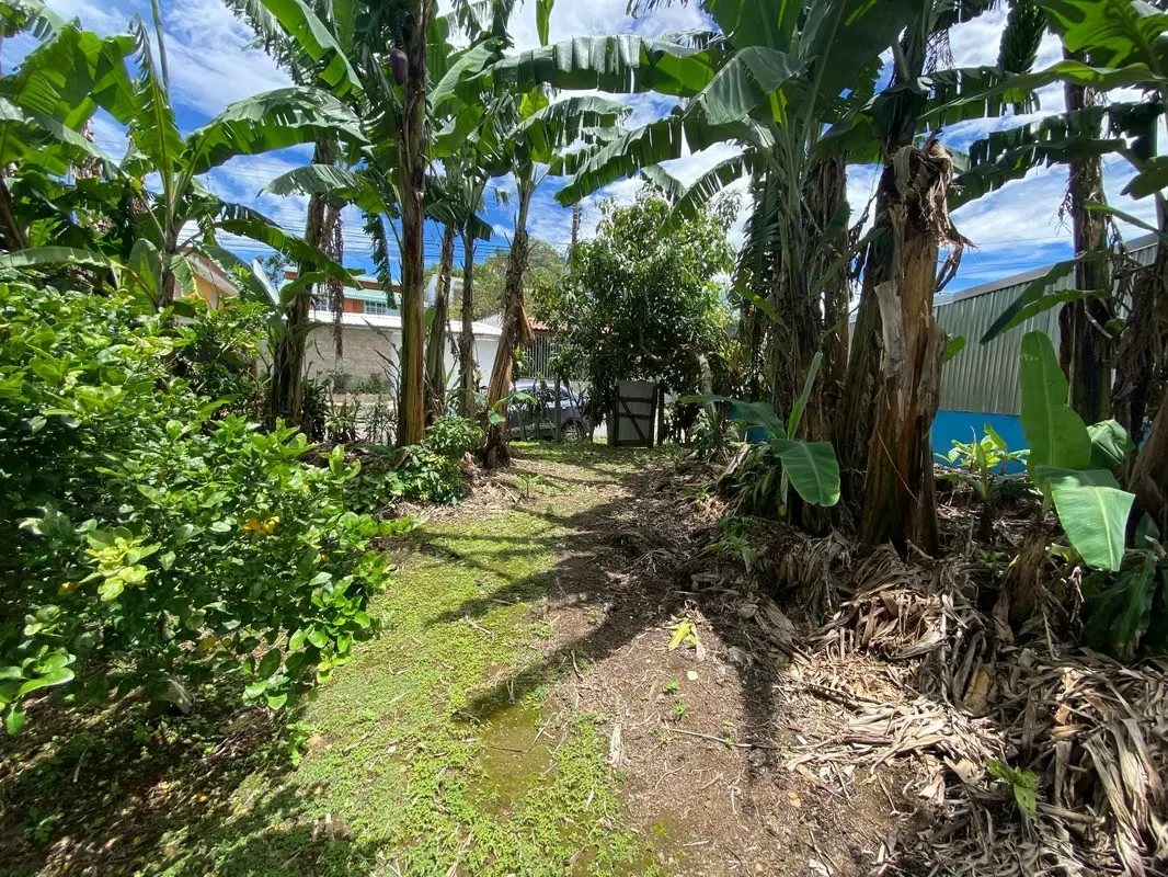 Lindo lote en residencial Monserrat Área 385 metros cuadrados. -10 metros de Frente. -Totalmente plano. -Dos Frentes: uno a calle pública, otro a zona verde pública. -Listo para ..., photo 10