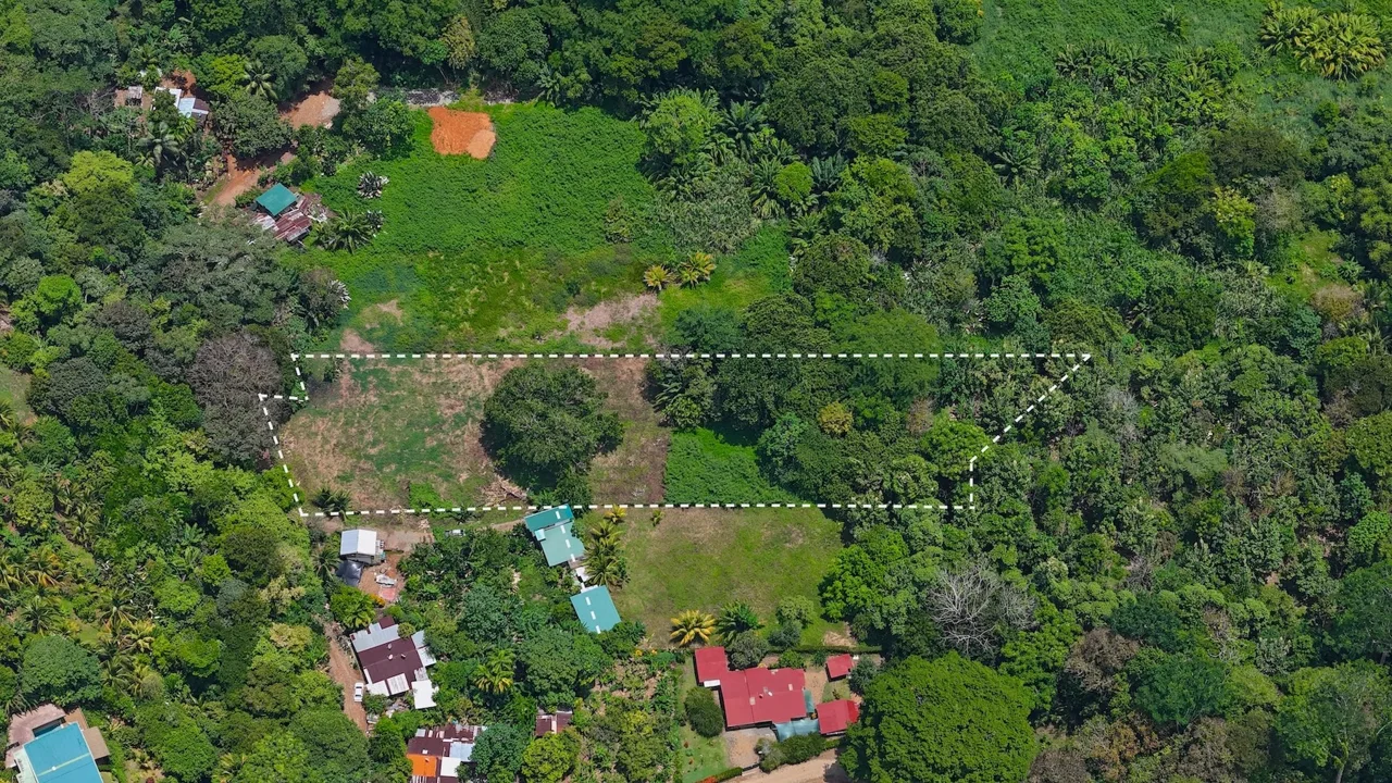 PRIME LAND NEAR THE SEA IN UVITA | JUST 150 METERS FROM MARINO BALLENA BEACH – 1.56 ACRES, photo 2