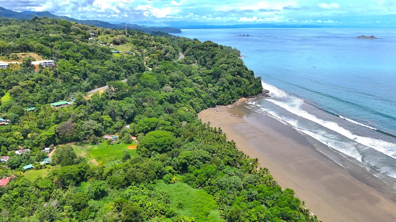 PRIME LAND NEAR THE SEA IN UVITA | JUST 150 METERS FROM MARINO BALLENA BEACH – 1.56 ACRES, photo 3