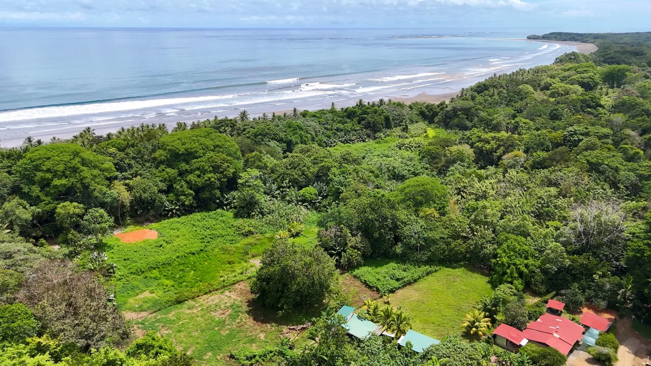 PRIME LAND NEAR THE SEA IN UVITA | JUST 150 METERS FROM MARINO BALLENA BEACH – 1.56 ACRES, photo 4