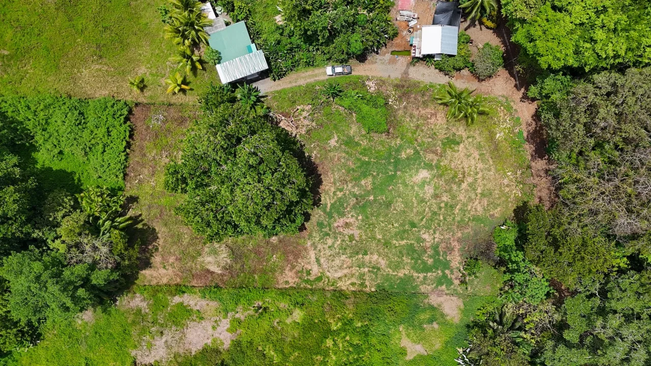 PRIME LAND NEAR THE SEA IN UVITA | JUST 150 METERS FROM MARINO BALLENA BEACH – 1.56 ACRES, photo 5