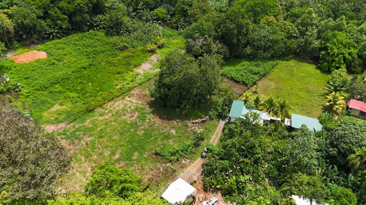 PRIME LAND NEAR THE SEA IN UVITA | JUST 150 METERS FROM MARINO BALLENA BEACH – 1.56 ACRES, photo 6
