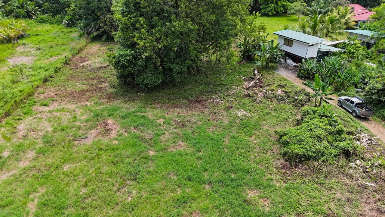 PRIME LAND NEAR THE SEA IN UVITA | JUST 150 METERS FROM MARINO BALLENA BEACH – 1.56 ACRES, photo 7