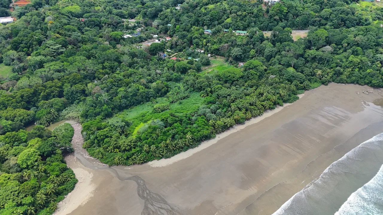 PRIME LAND NEAR THE SEA IN UVITA | JUST 150 METERS FROM MARINO BALLENA BEACH – 1.56 ACRES, photo 8