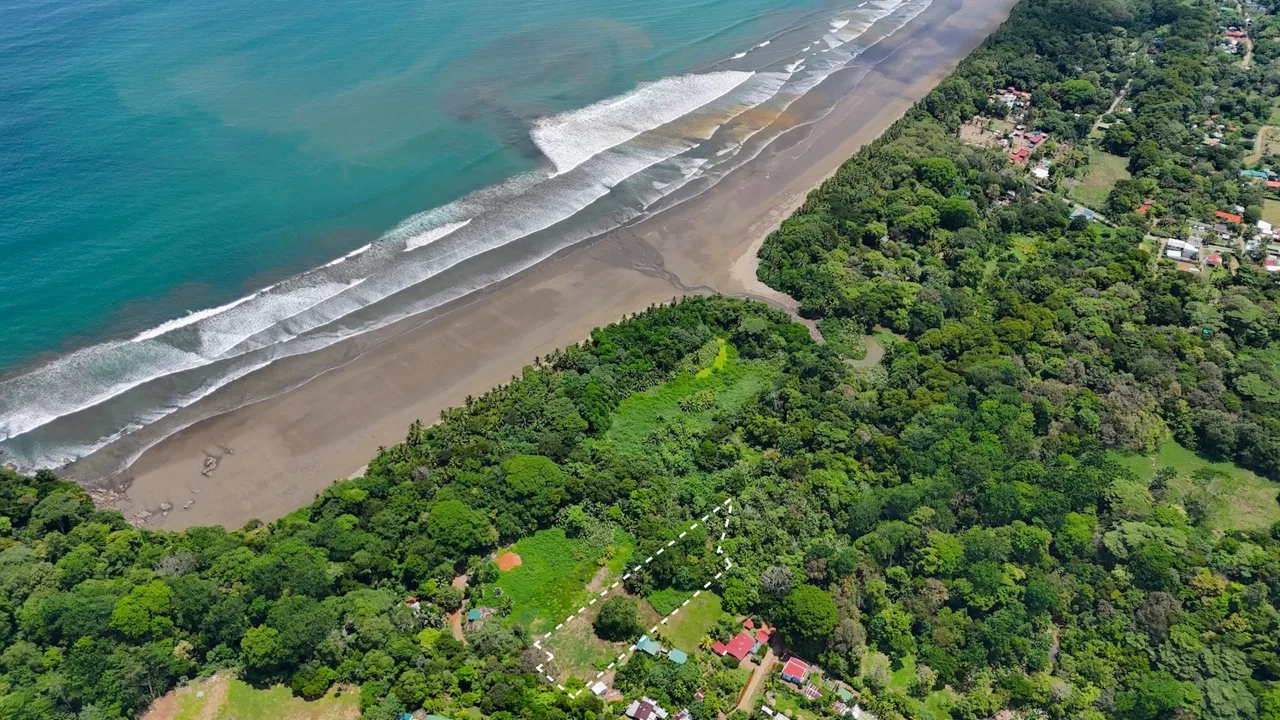 PRIME LAND NEAR THE SEA IN UVITA | JUST 150 METERS FROM MARINO BALLENA BEACH – 1.56 ACRES, photo 9