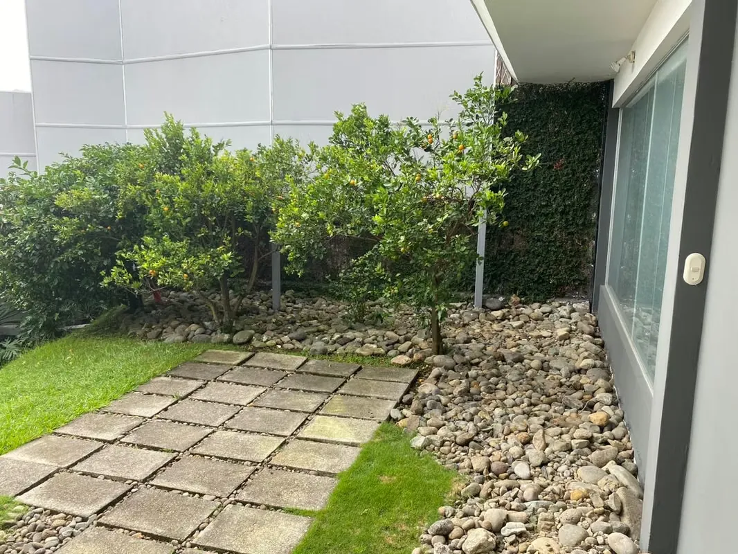 Venta de una amplia propiedad ubicada en los Yoses San José, ideal para oficinas de profesionales independientes, clinica de especialidades médicas, agencia de publicidad, entre otras ..., photo 5