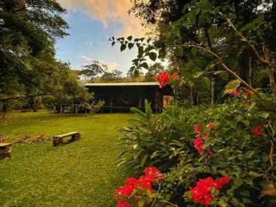 Jungle Retreat on Lake Arenal