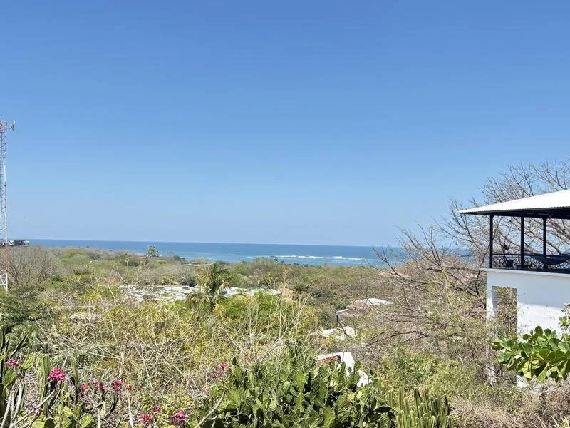8 Bed Single Family Homes For Sale in Tamarindo, photo 2