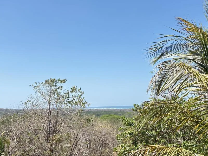 8 Bed Single Family Homes For Sale in Tamarindo, photo 12