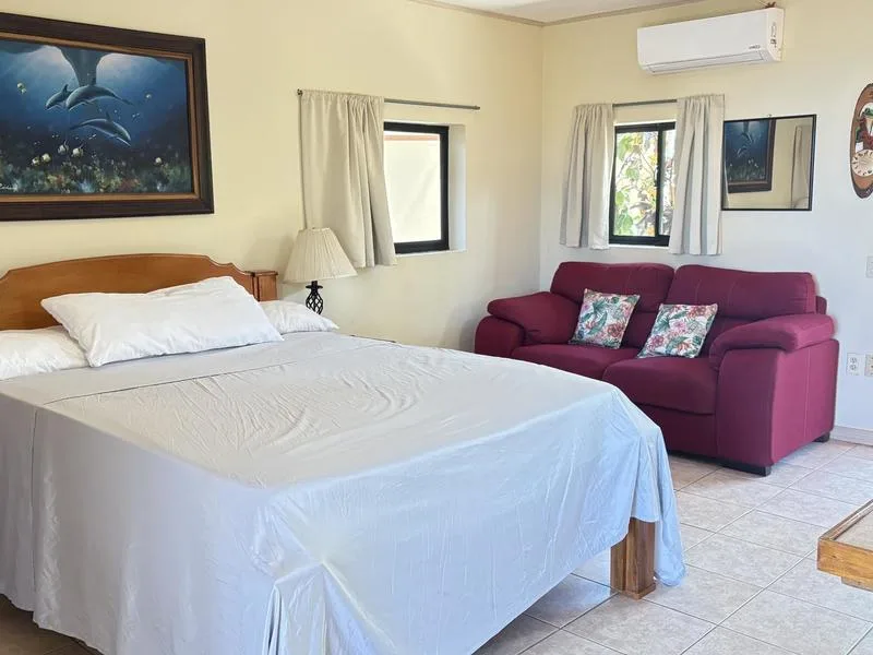 8 Bed Single Family Homes For Sale in Tamarindo, photo 6