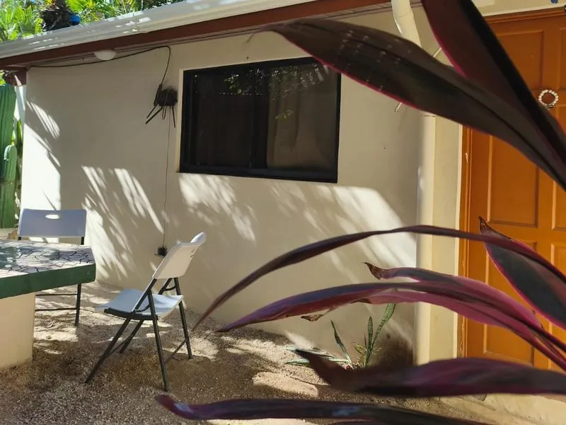 8 Bed Single Family Homes For Sale in Tamarindo, photo 7