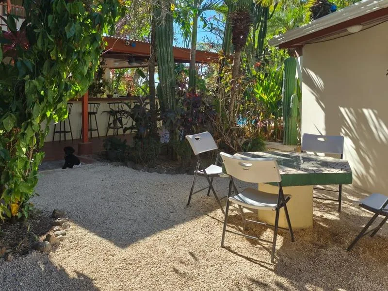 8 Bed Single Family Homes For Sale in Tamarindo, photo 9