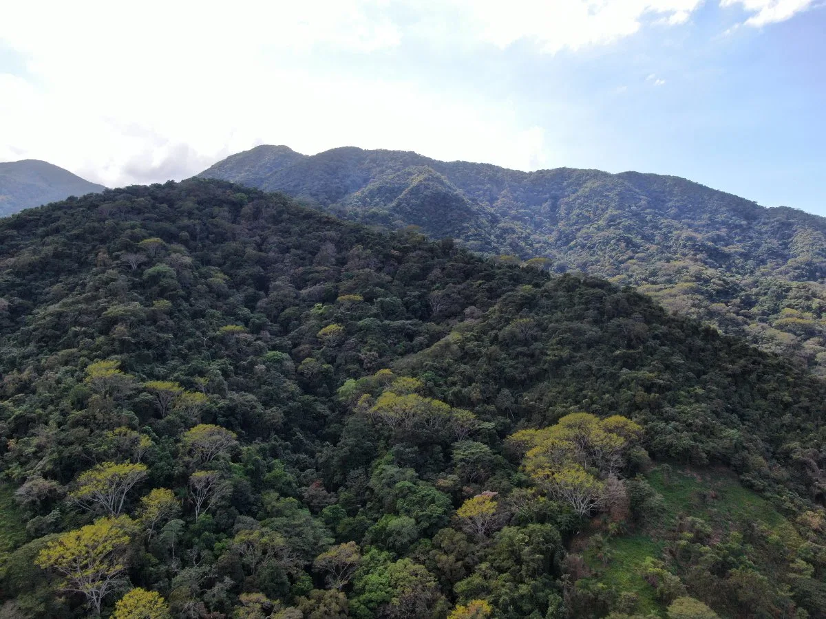 Venta de Finca en San Luis de Turrubares, San José  - Venta en Turrubares