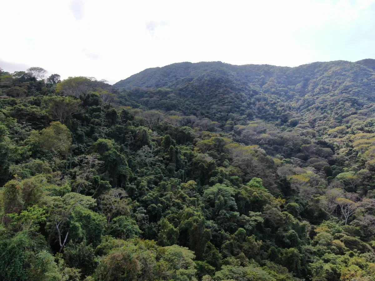 Venta de Finca en San Luis de Turrubares, San José  - Venta en Turrubares, photo 4