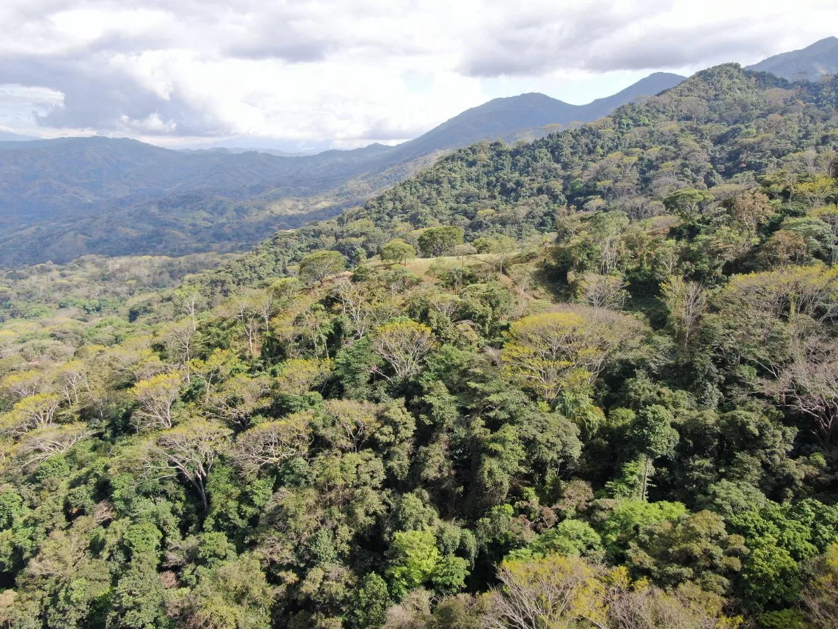 Venta de Finca en San Luis de Turrubares, San José  - Venta en Turrubares, photo 6