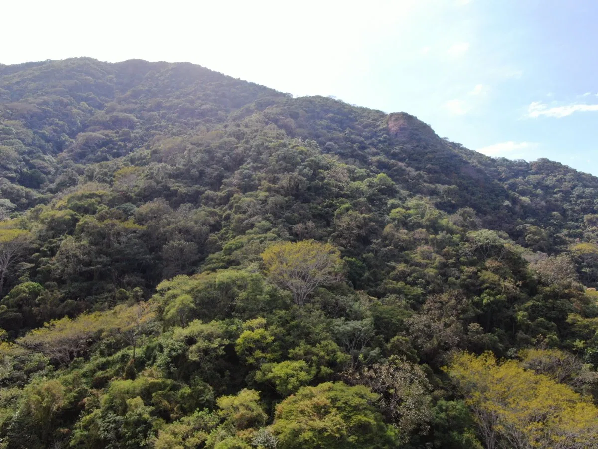 Venta de Finca en San Luis de Turrubares, San José  - Venta en Turrubares, photo 8