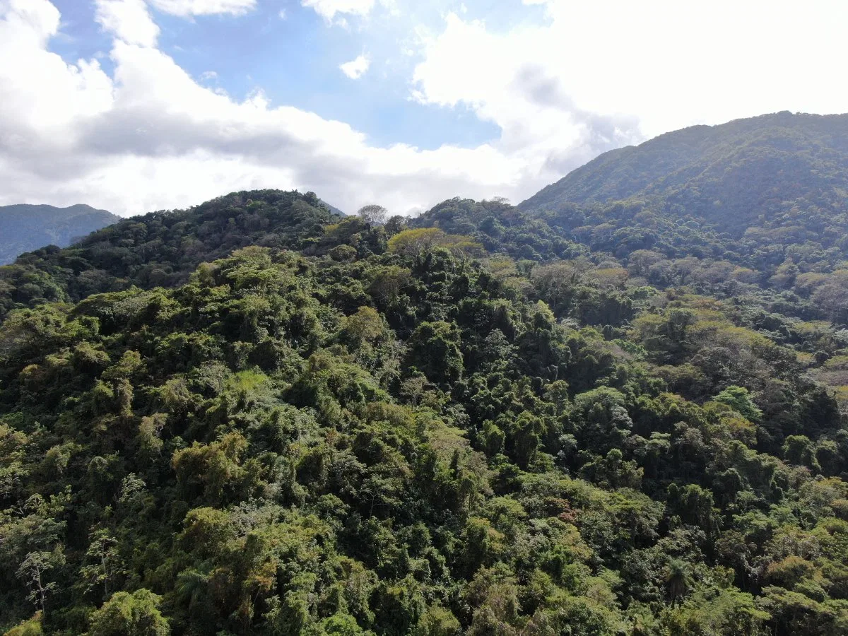 Venta de Finca en San Luis de Turrubares, San José  - Venta en Turrubares, photo 9