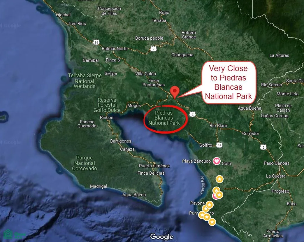 Gran finca de 98 hectáreas con 39 acres de palma africana en Piedras Blancas