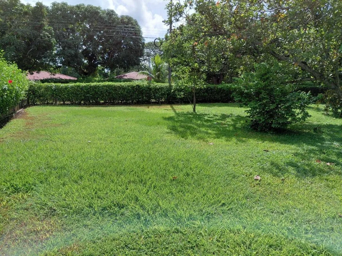 Venta de Lote de 1004m2 en La Ceiba Orotina 26-257 - Venta en Orotina