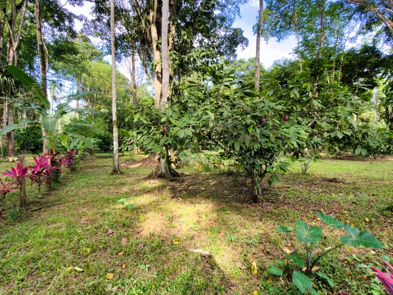 Land For Sale in Cahuita, photo 11