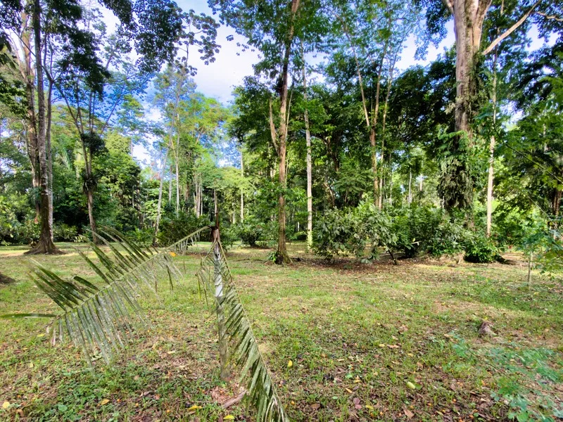 Land For Sale in Cahuita, photo 13