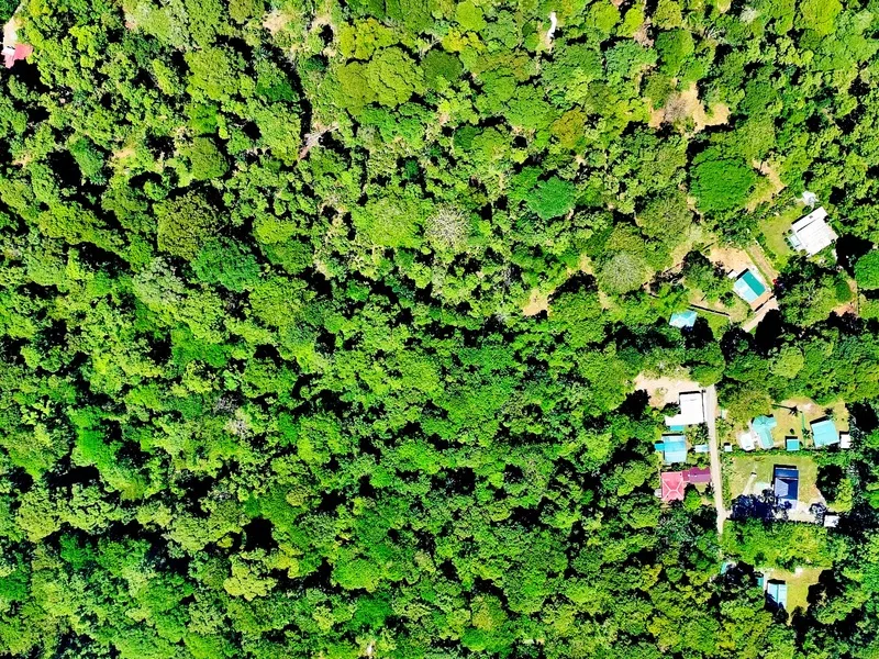 Land For Sale in Cahuita, photo 4