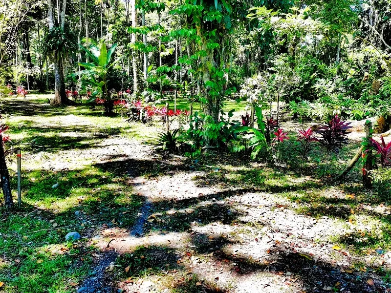 Land For Sale in Cahuita, photo 7