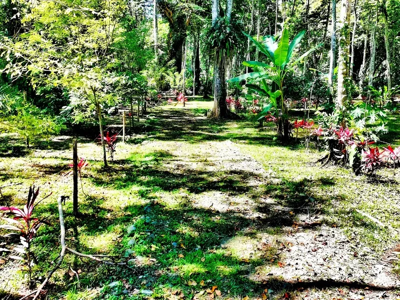 Land For Sale in Cahuita, photo 8