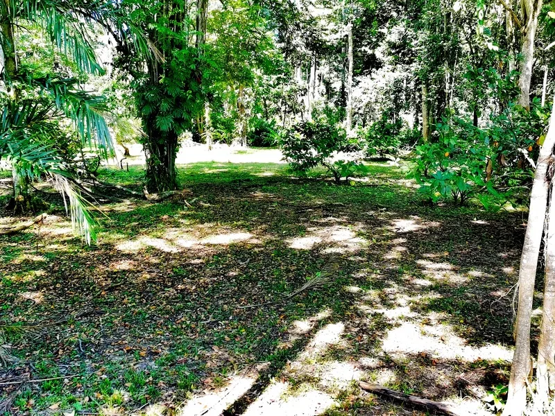 Land For Sale in Cahuita, photo 9