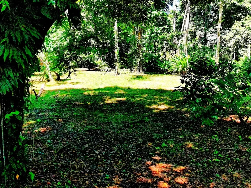 Land For Sale in Cahuita, photo 10