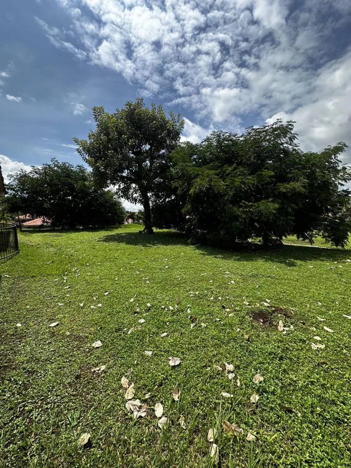 Lote en condominio Bosque Alto, photo 2