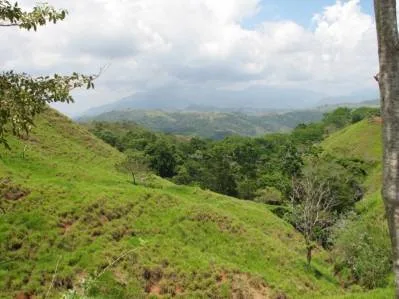 Farm Hermosa Springs, in the middle of the Central Pacific
