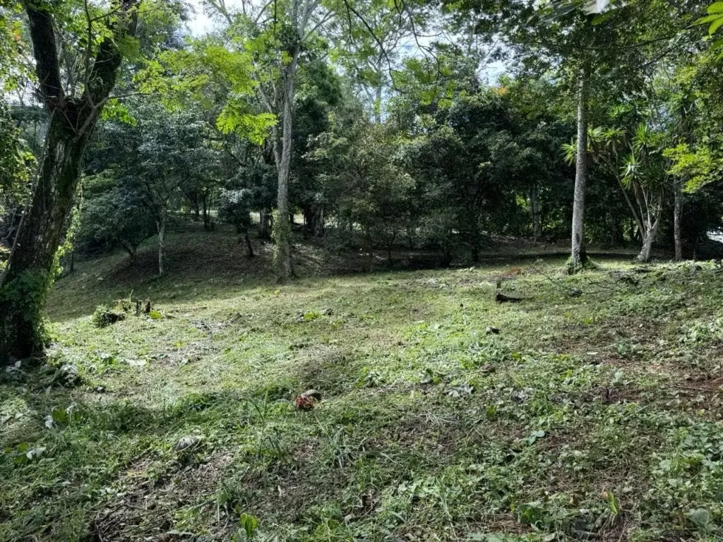 Propiedad ubicada en Ciudad Colon cerca del Más por Menos
