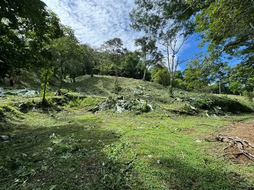 Propiedad ubicada en Ciudad Colon cerca del Más por Menos, photo 5
