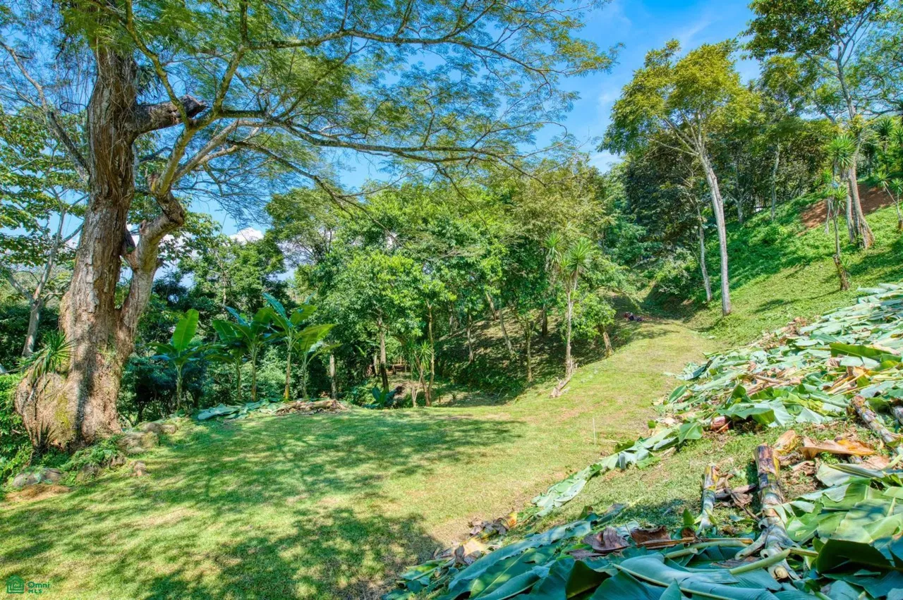 Carretera a Guayabo (Ruta Nacional 209), Colón, San Jose 10701