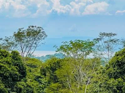 Retiro tropical en Ojochal con vistas al océano, cascada privada y potencial de expansión., photo 6