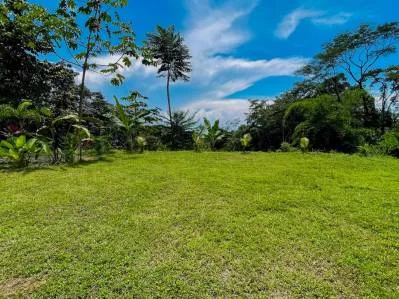 Retiro tropical en Ojochal con vistas al océano, cascada privada y potencial de expansión., photo 8