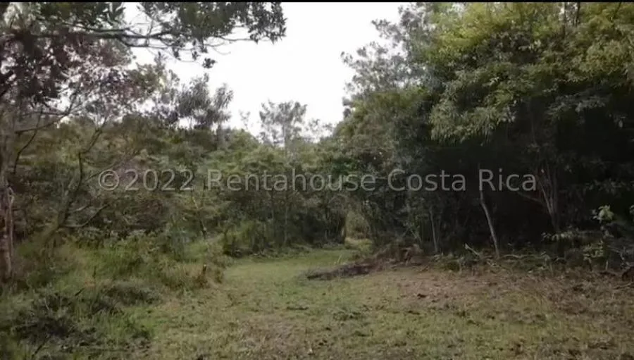 Venta de Lote en Zurquí, Moravia.  - Venta en Moravia, photo 4