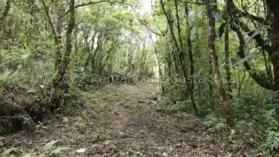 Venta de Lote en Zurquí, Moravia.  - Venta en Moravia, photo 6