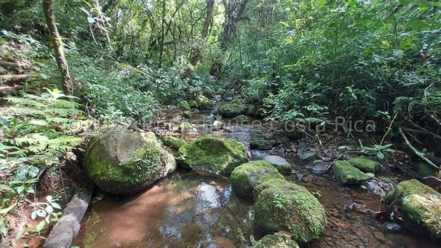 Venta de Lote en Zurquí, Moravia.  - Venta en Moravia, photo 9