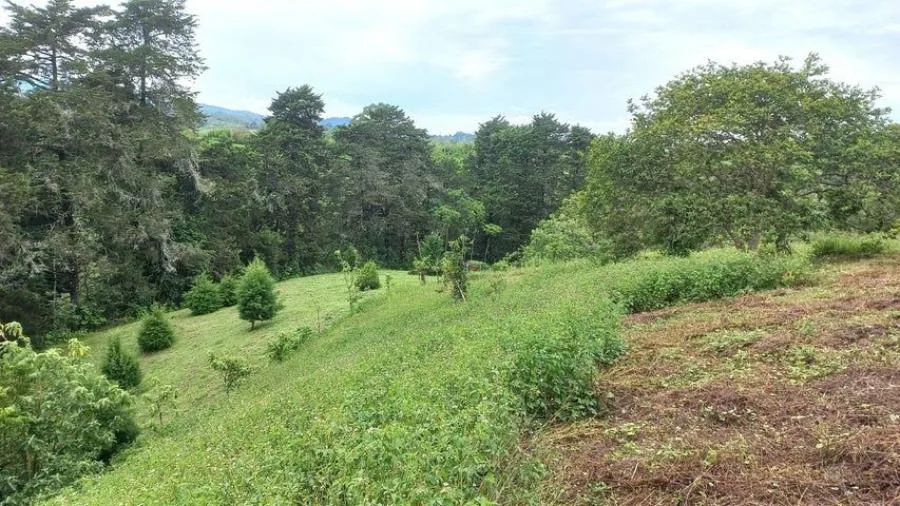 Venta de Excelente Lote en Mata de Plátano San José - Venta en Mata de Platano, photo 4