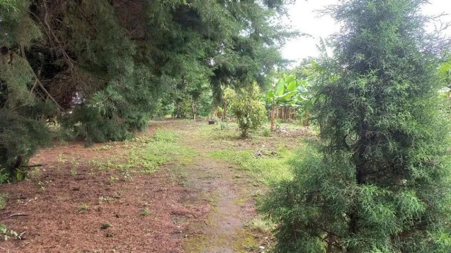 Venta de Excelente Lote en Mata de Plátano San José - Venta en Mata de Platano, photo 5